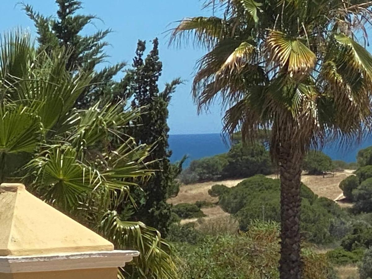Villa "Oasis"- C Albufeira Buitenkant foto